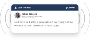 A sample of an Ask the Pro post where a Web Designer is asking Lawyers about copyrights on his website.