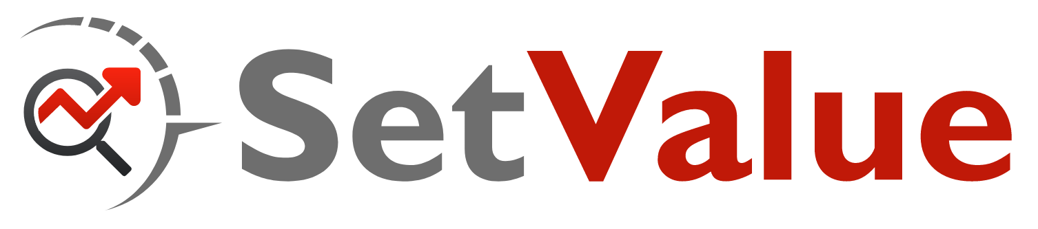 SetValue Logo